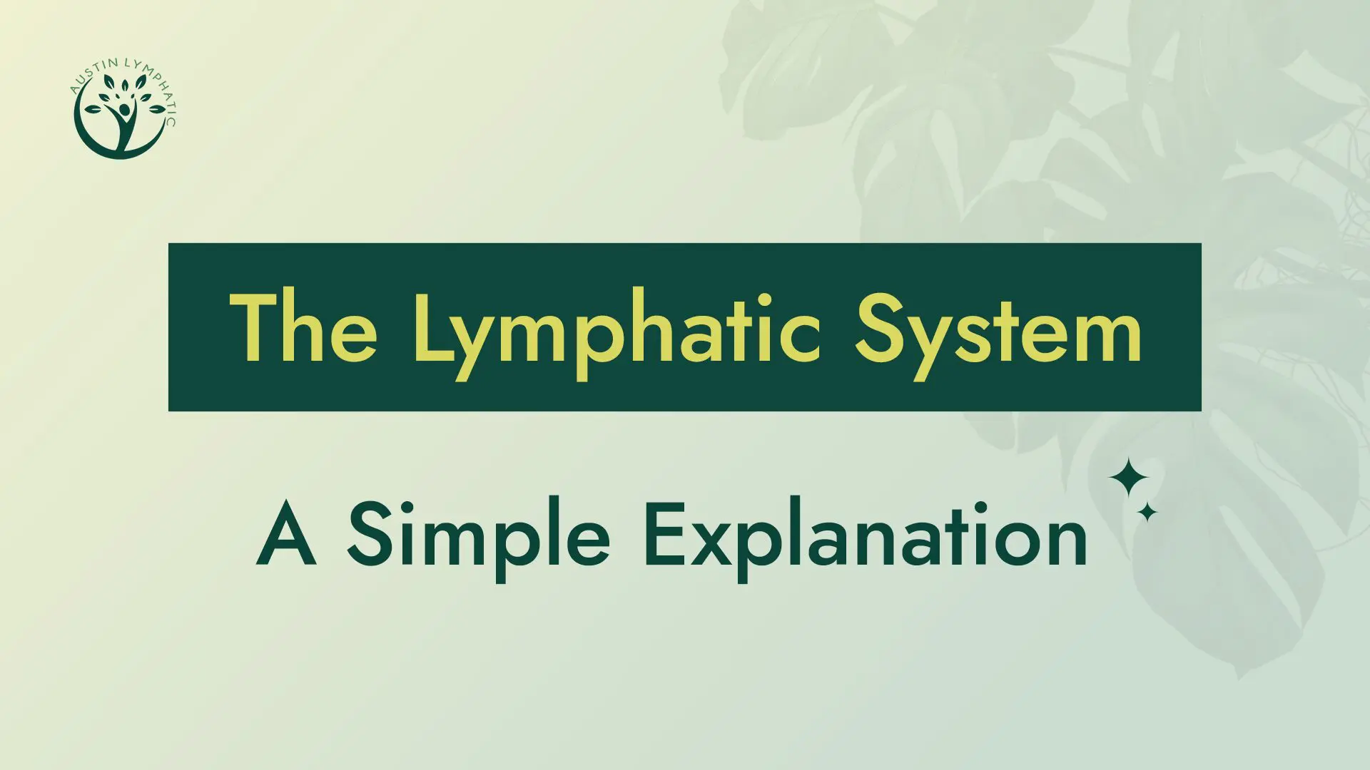 A Simple Explanation of the Lymphatic System